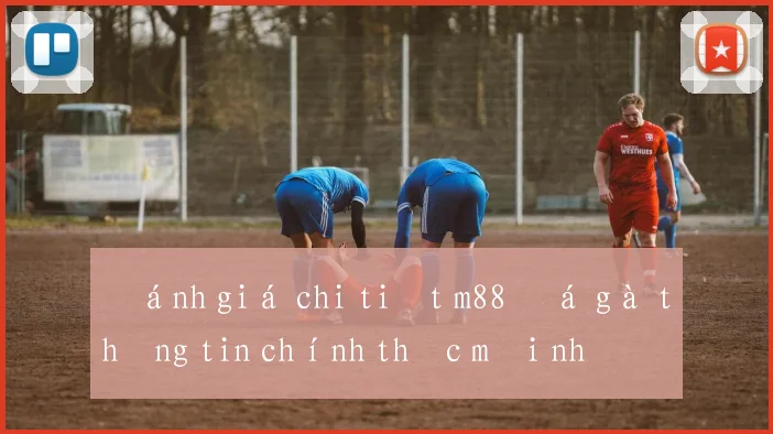 Đánh giá chi tiết m88 đá gà thông tin chính thức mới nhất