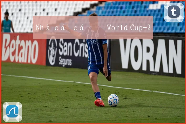 Nhà cái cá độ World Cup