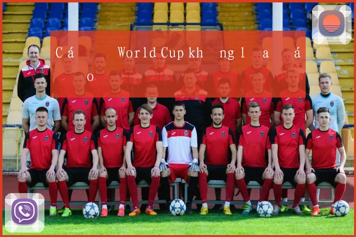 Cá độ World Cup không lừa đảo