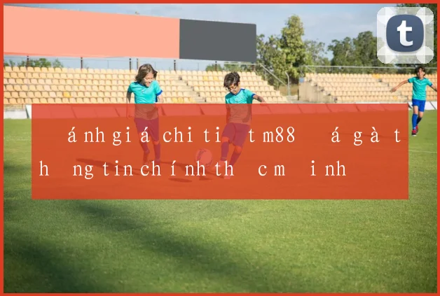 Đánh giá chi tiết m88 đá gà thông tin chính thức mới nhất
