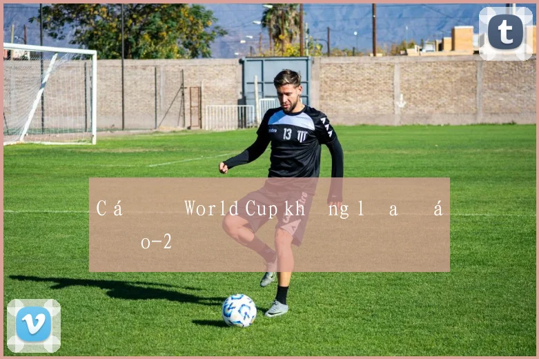 Cá độ World Cup không lừa đảo